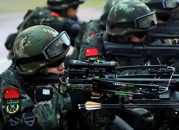 咖啡館深談：解碼中國人民武裝警察部隊組織機(jī)構(gòu)圖的演變與力量
