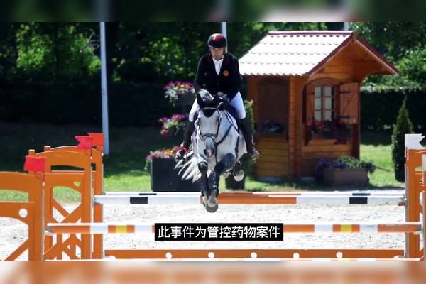 7777788888香港馬深度解析:揭秘其潛在的賽馬數(shù)據(jù)與歷史價值