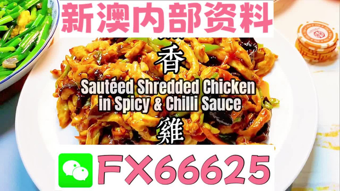 新奧精準(zhǔn)精選免費提供：深度解析其價值、獲取方法與應(yīng)用場景