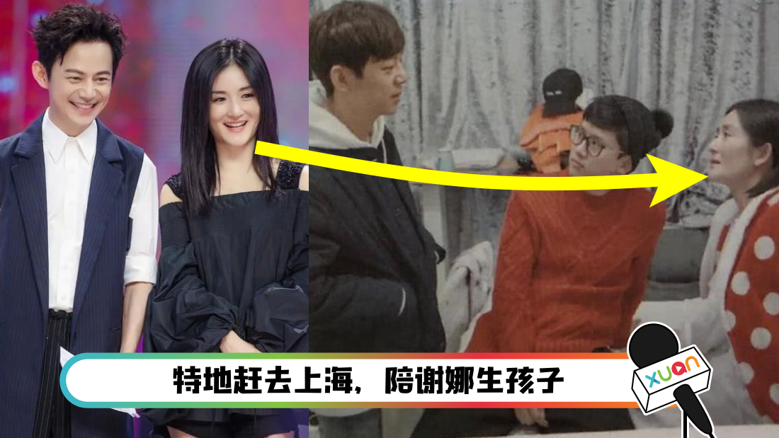 謝娜生了幾個寶寶是男是女？深度解析其幸福家庭的秘密與育兒點滴
