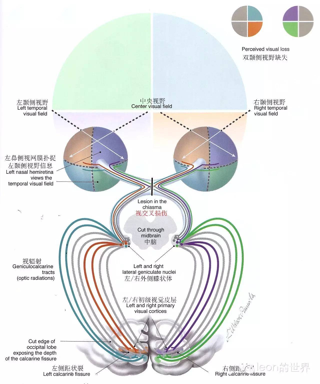 密集陣近防炮開火視頻深度解析:近距離防御系統(tǒng)的視覺震撼與實戰(zhàn)效能