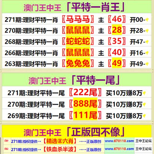 深度解析493333王中王中開獎特色:洞悉其運作機制與潛在風險