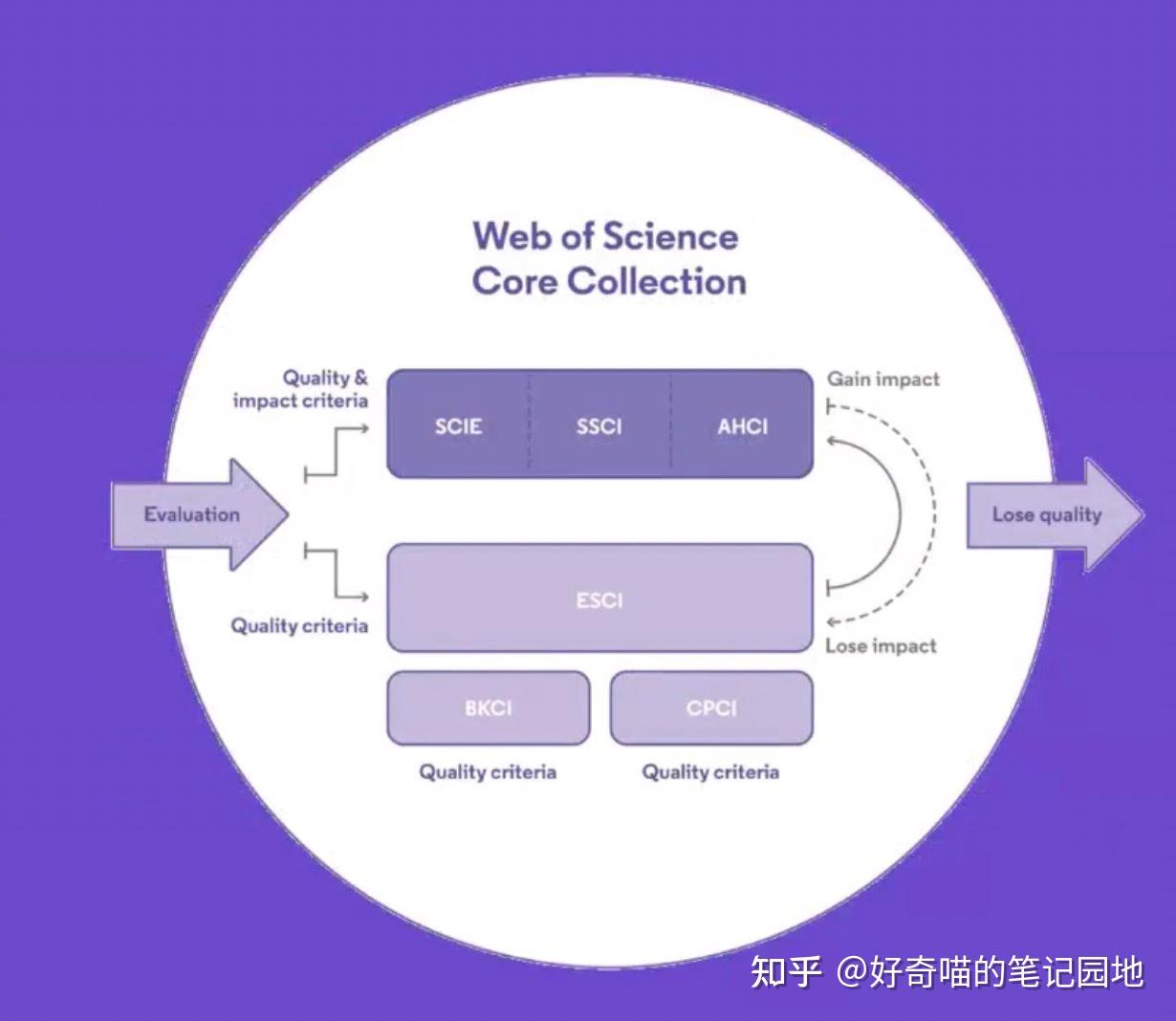 王中王493333中特大全:權(quán)威解讀與深度應用全攻略